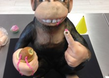 Affe
