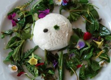 bunter Salat