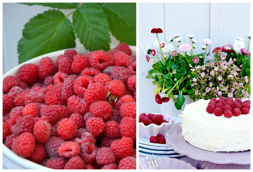 Kuchen Rezept Himbeeren Käsekuchen