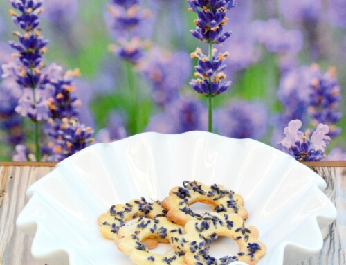 Schmecken nach Urlaub und Sommer: Lavendel-Kekse