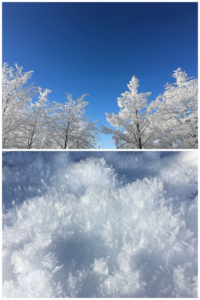 Schnee Schwarzwald