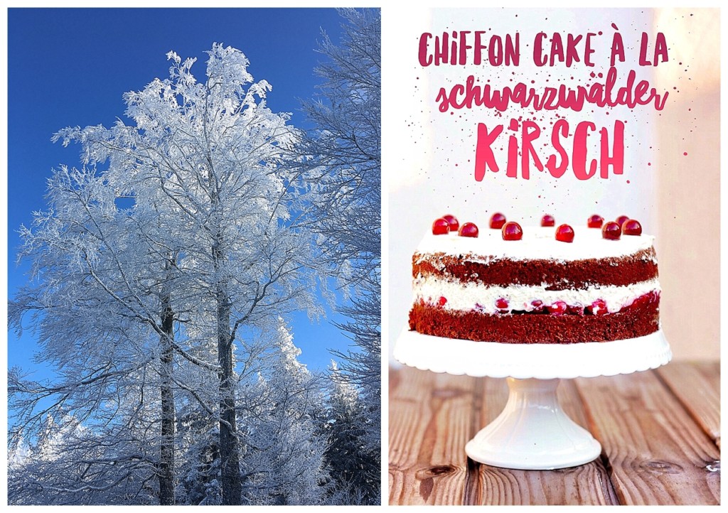 Schnee Schwarzwald Chiffon Cake Cranberries