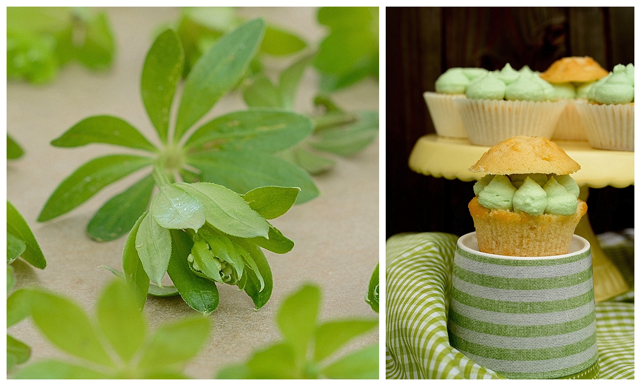 Waldmeister-Cupcakes Cupcakes Zitronen-Waldmeister-Cupcakes
