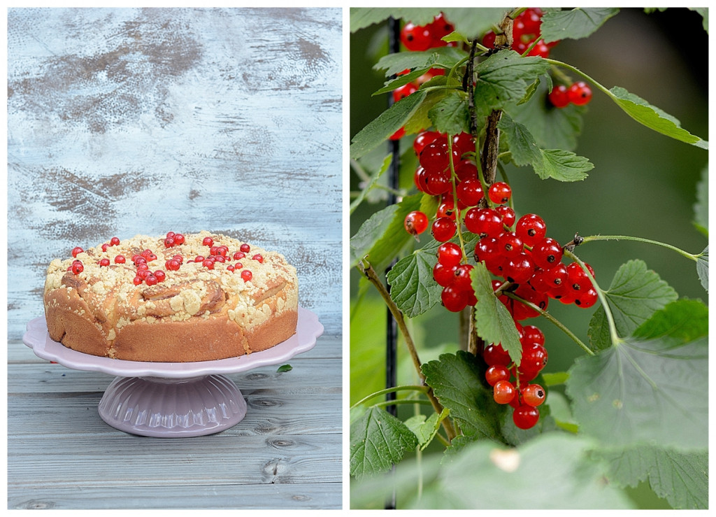 Hefeschnecken Rosenkuchen Johannisbeerschnecken Streuselkuchen