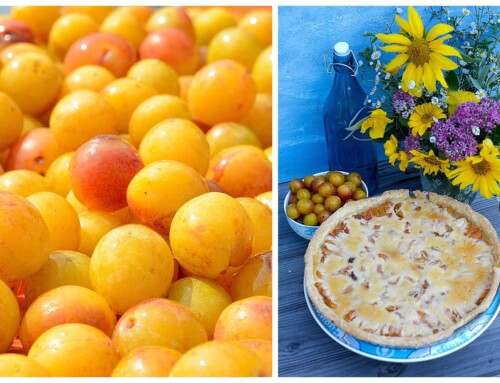 Herrlich fruchtig: Tarte aux Mirabelles