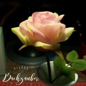 Basiskurs: Rose aus Kaltporzellan @ Backstudio der Backschwestern