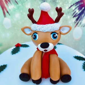 Basiskurs: weihnachtliche Torte mit modellierter Figur @ Backstudio der Backschwestern