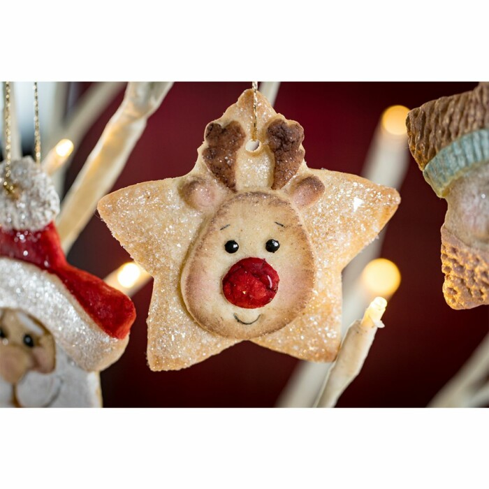 Star Reindeer Mould von Karen Davies X