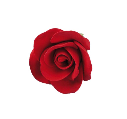Feinzuckerrosen, rot